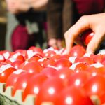 Die große Ostereiersuche